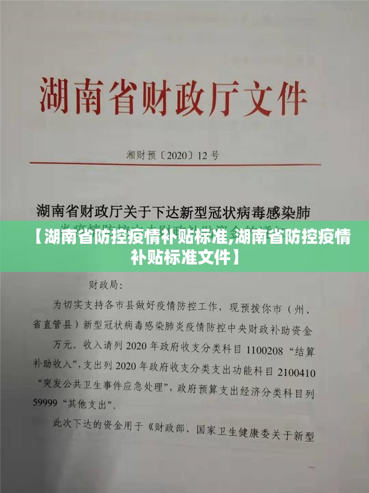 【湖南省防控疫情补贴标准,湖南省防控疫情补贴标准文件】