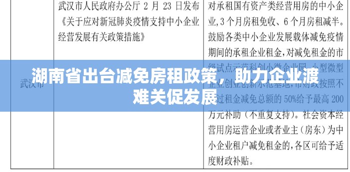 湖南省出台减免房租政策，助力企业渡难关促发展