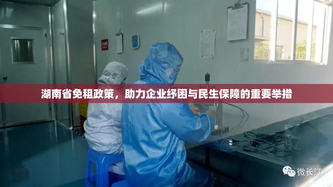 湖南省免租政策，助力企业纾困与民生保障的重要举措