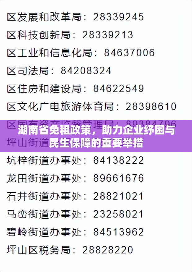 湖南省免租政策，助力企业纾困与民生保障的重要举措