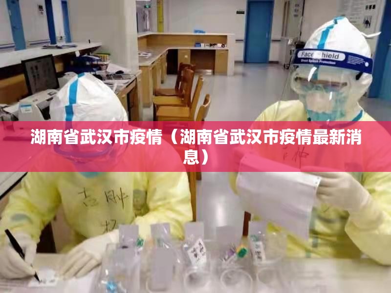 湖南省武汉市疫情（湖南省武汉市疫情最新消息）