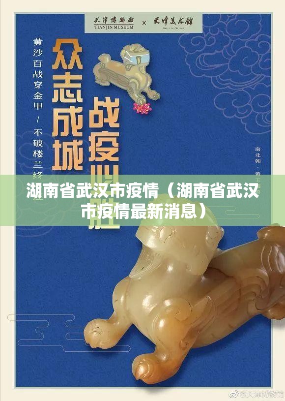 湖南省武汉市疫情（湖南省武汉市疫情最新消息）