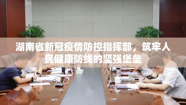 湖南省新冠疫情防控指挥部，筑牢人民健康防线的坚强堡垒