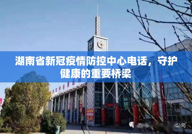 湖南省新冠疫情防控中心电话，守护健康的重要桥梁