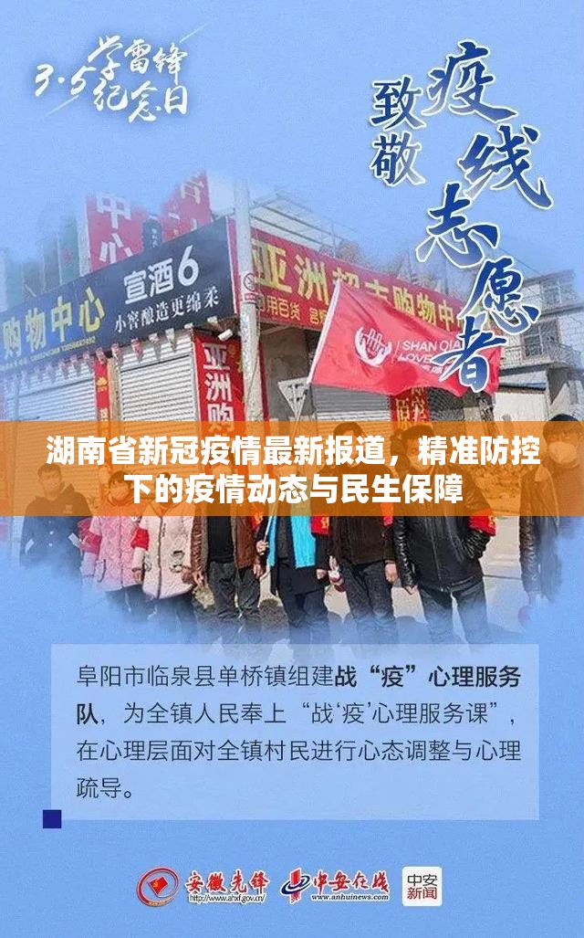 湖南省新冠疫情最新报道，精准防控下的疫情动态与民生保障