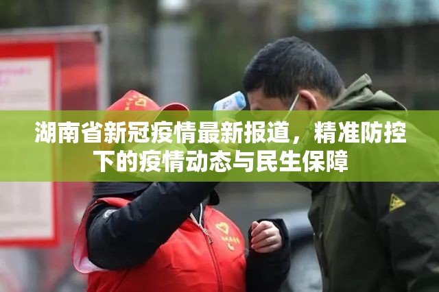 湖南省新冠疫情最新报道，精准防控下的疫情动态与民生保障