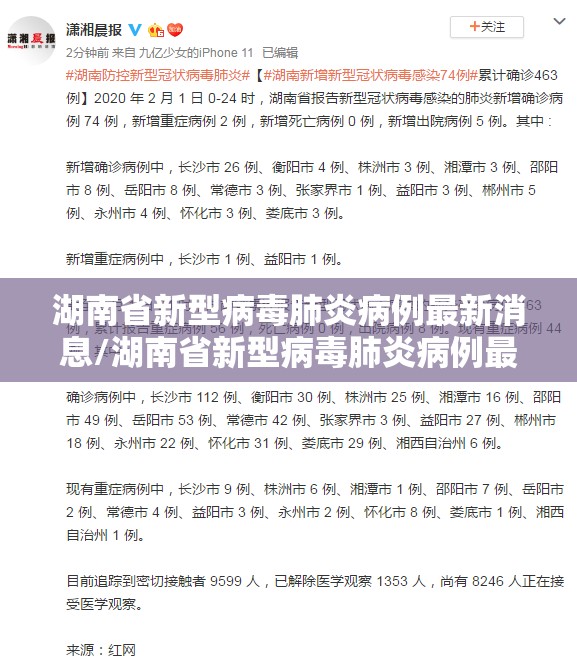 湖南省新型病毒肺炎病例最新消息/湖南省新型病毒肺炎病例最新消息通知