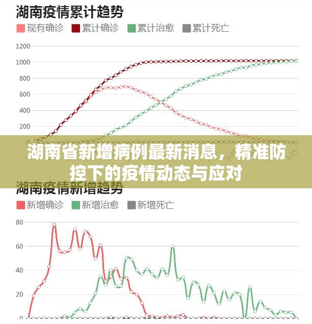 湖南省新增病例最新消息，精准防控下的疫情动态与应对