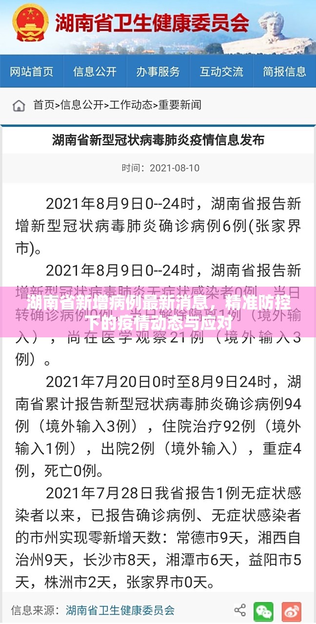 湖南省新增病例最新消息，精准防控下的疫情动态与应对