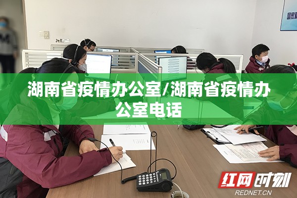 湖南省疫情办公室/湖南省疫情办公室电话