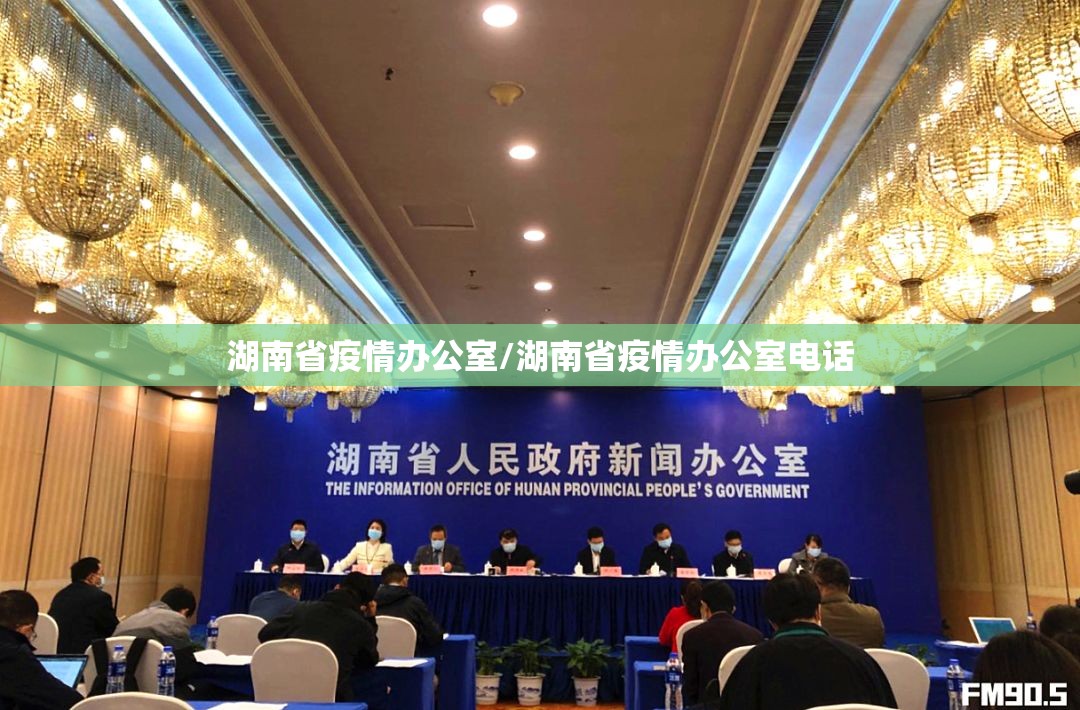 湖南省疫情办公室/湖南省疫情办公室电话