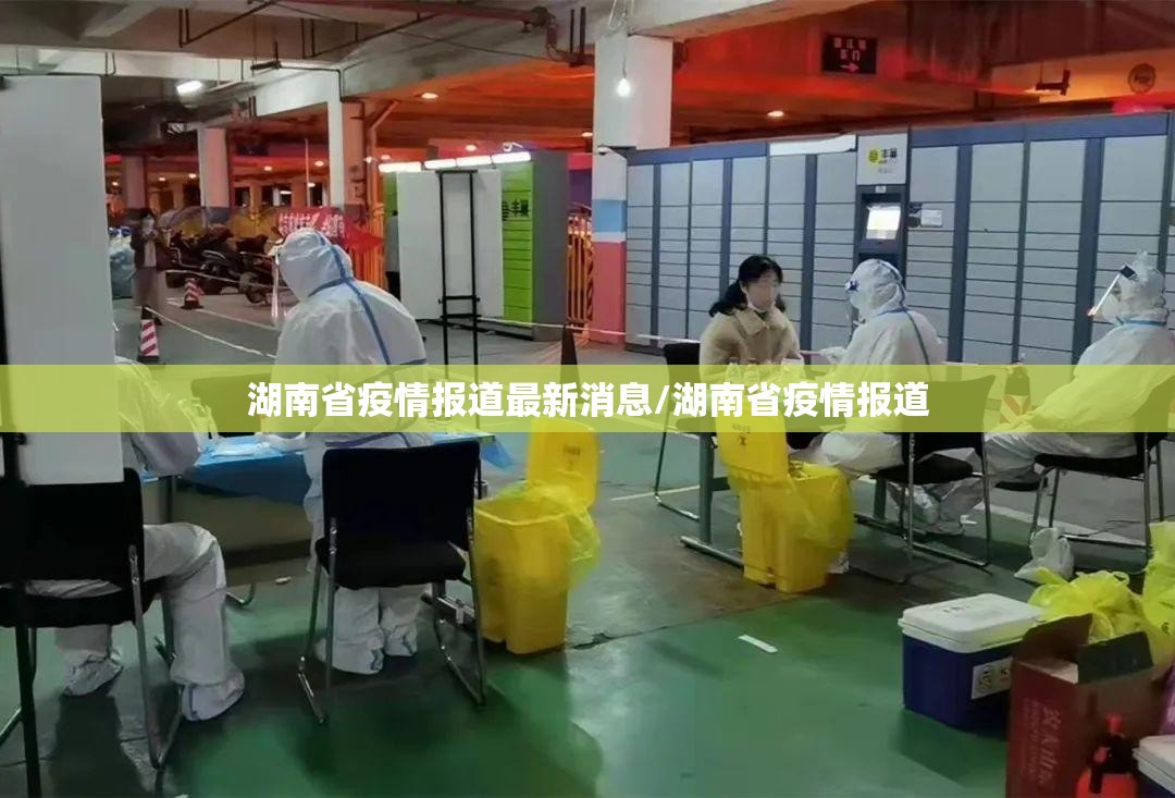 湖南省疫情报道最新消息/湖南省疫情报道