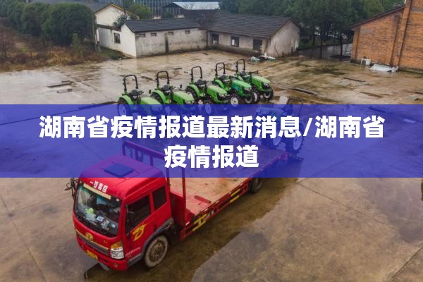湖南省疫情报道最新消息/湖南省疫情报道