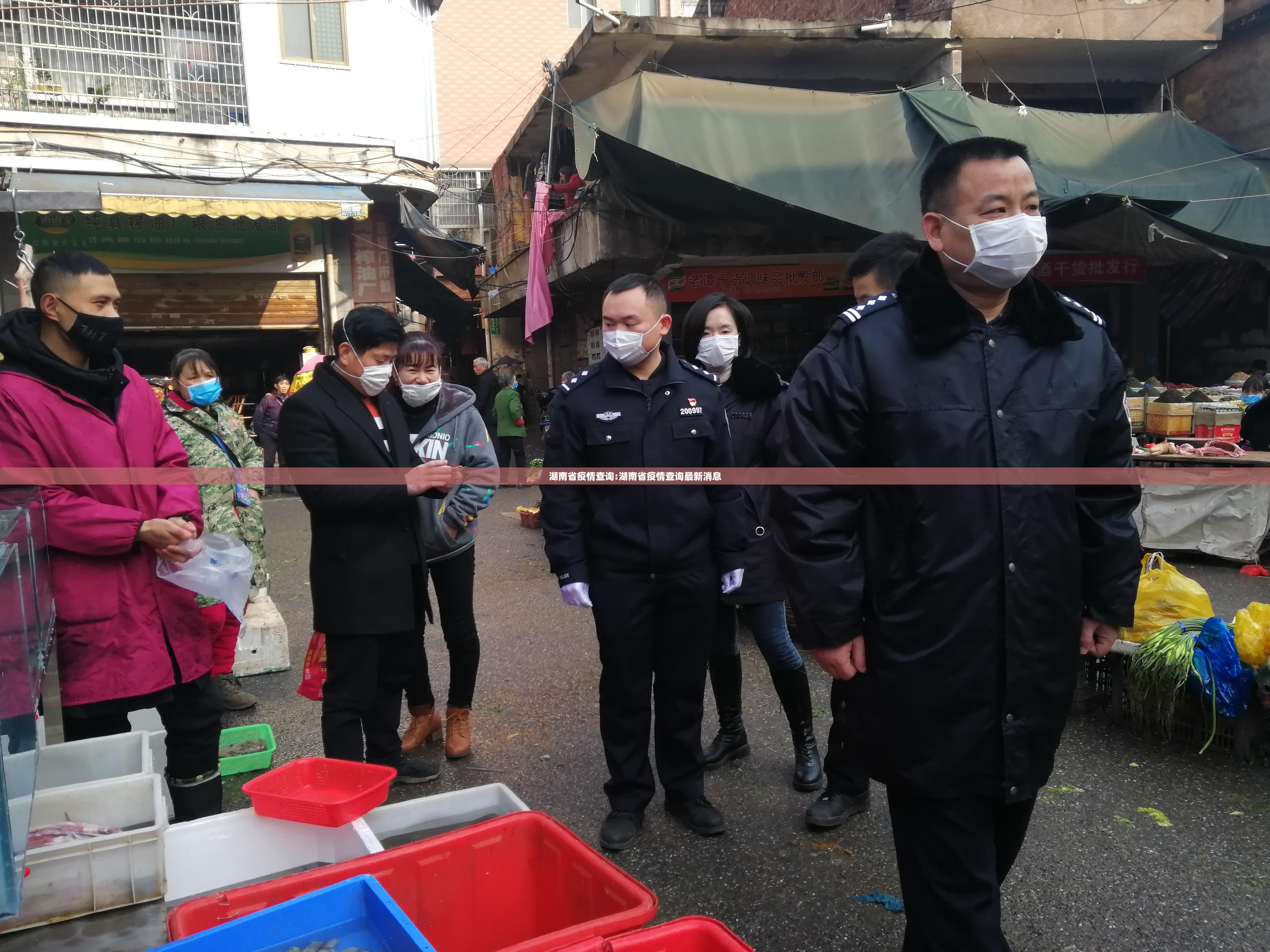 湖南省疫情查询:湖南省疫情查询最新消息