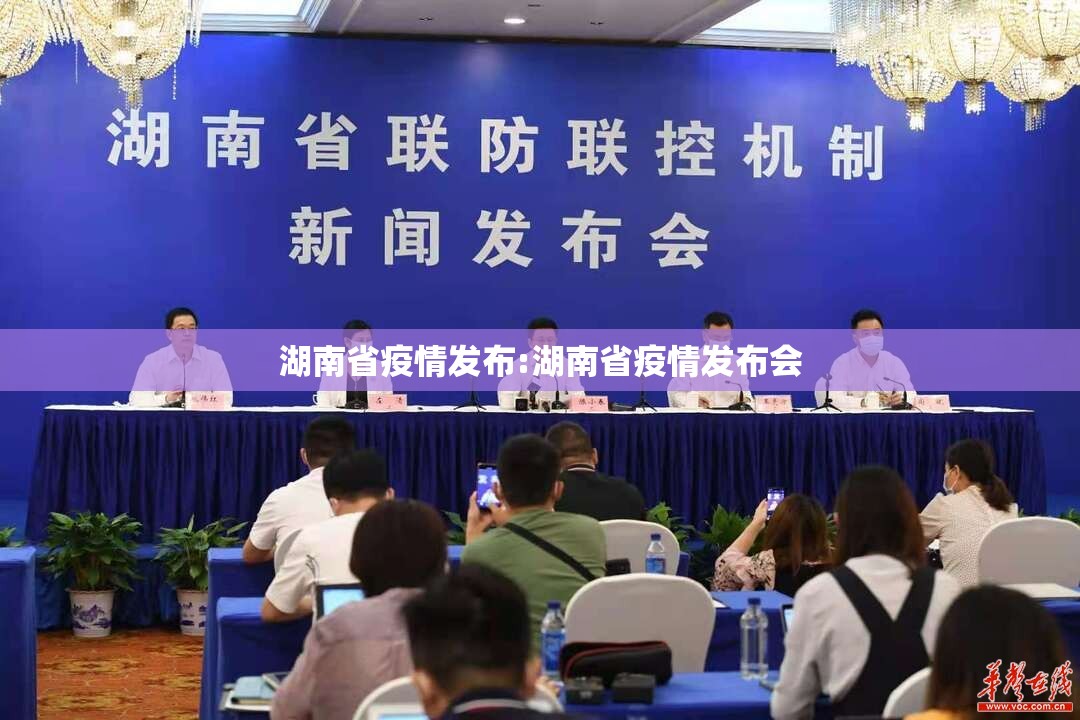 湖南省疫情发布:湖南省疫情发布会
