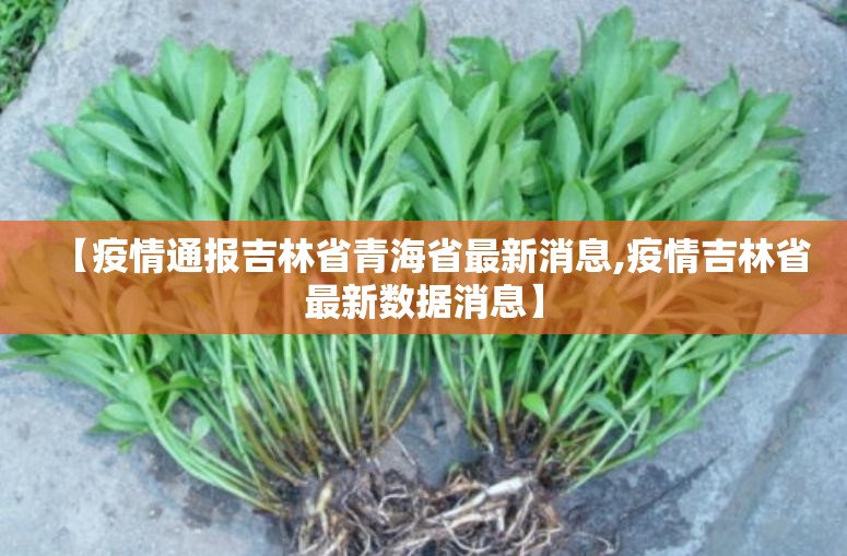上海疫情局 湖南省分局局长（上海疫情局 湖南省分局局长是谁）