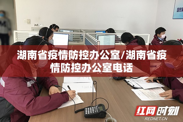 湖南省疫情防控办公室/湖南省疫情防控办公室电话