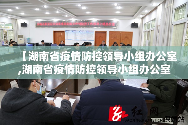 【湖南省疫情防控领导小组办公室,湖南省疫情防控领导小组办公室电话】