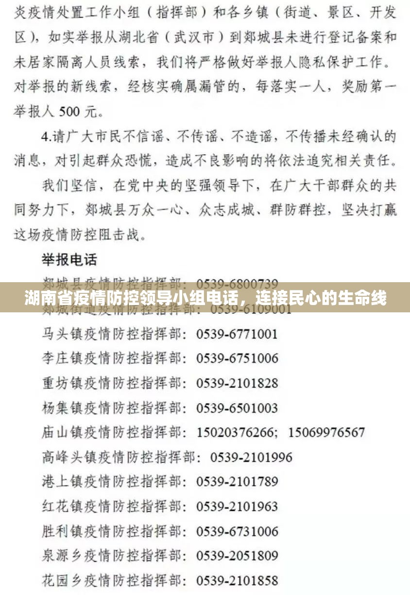 湖南省疫情防控领导小组电话，连接民心的生命线