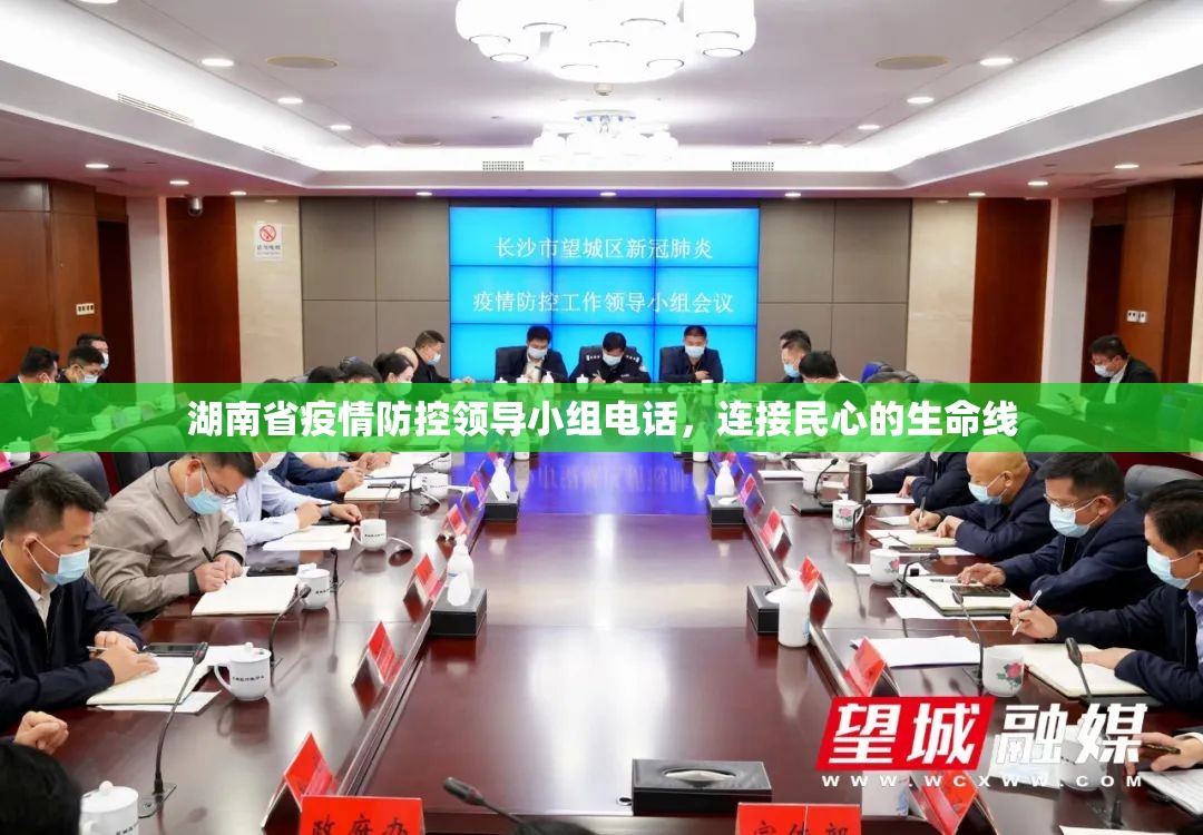 湖南省疫情防控领导小组电话，连接民心的生命线
