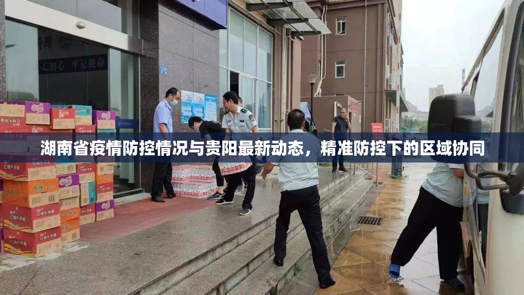 湖南省疫情防控情况与贵阳最新动态，精准防控下的区域协同