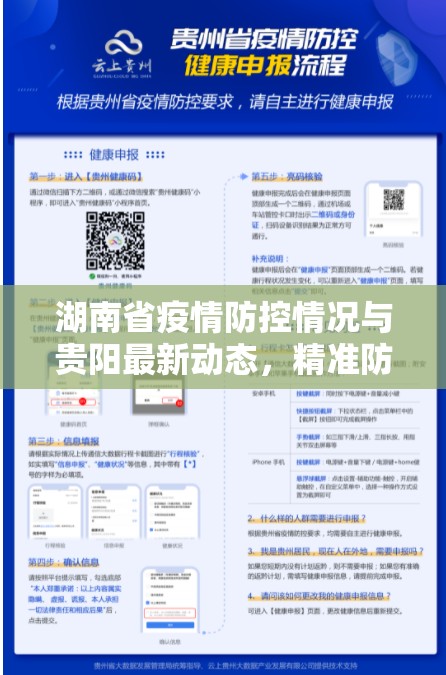 湖南省疫情防控情况与贵阳最新动态，精准防控下的区域协同