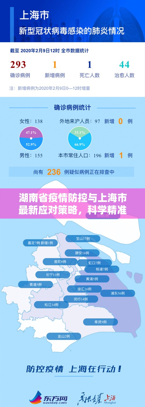 湖南省疫情防控与上海市最新应对策略，科学精准与常态化管理的双轨实践