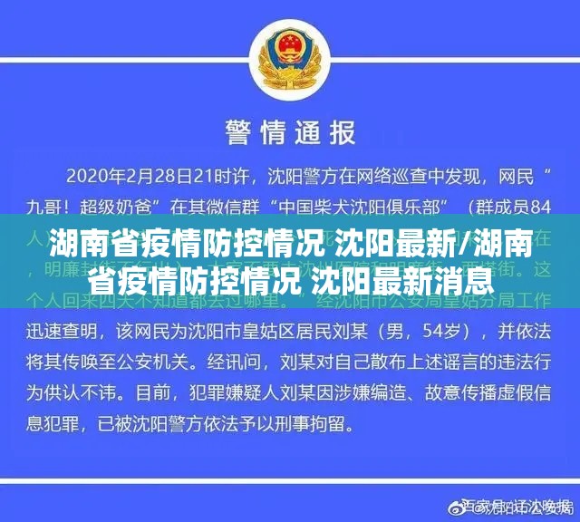 湖南省疫情防控情况 沈阳最新/湖南省疫情防控情况 沈阳最新消息