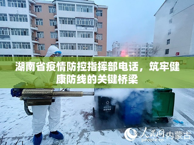 湖南省疫情防控指挥部电话，筑牢健康防线的关键桥梁