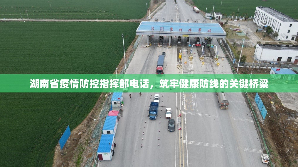 湖南省疫情防控指挥部电话，筑牢健康防线的关键桥梁