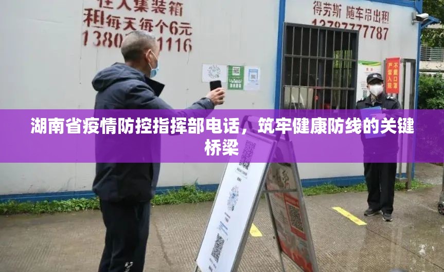 湖南省疫情防控指挥部电话，筑牢健康防线的关键桥梁