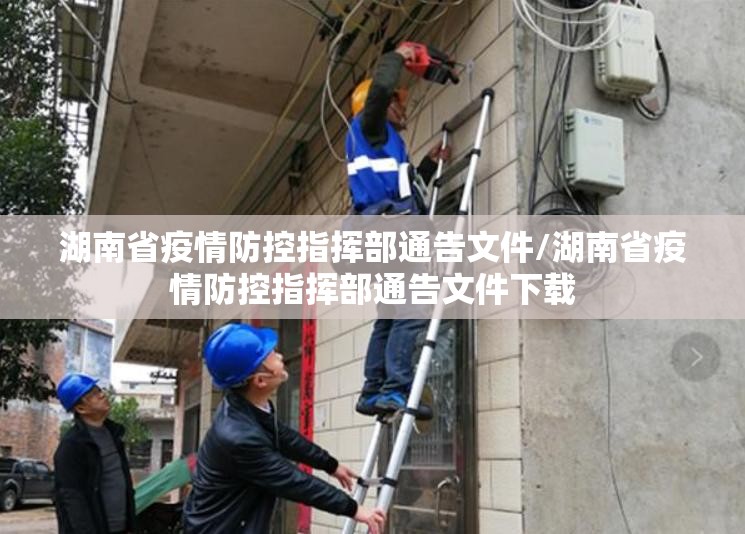 湖南省疫情防控指挥部通告文件/湖南省疫情防控指挥部通告文件下载