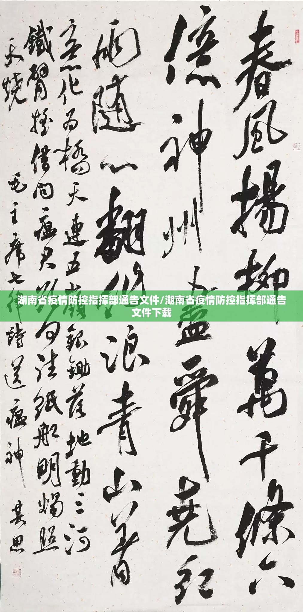 湖南省疫情防控指挥部通告文件/湖南省疫情防控指挥部通告文件下载