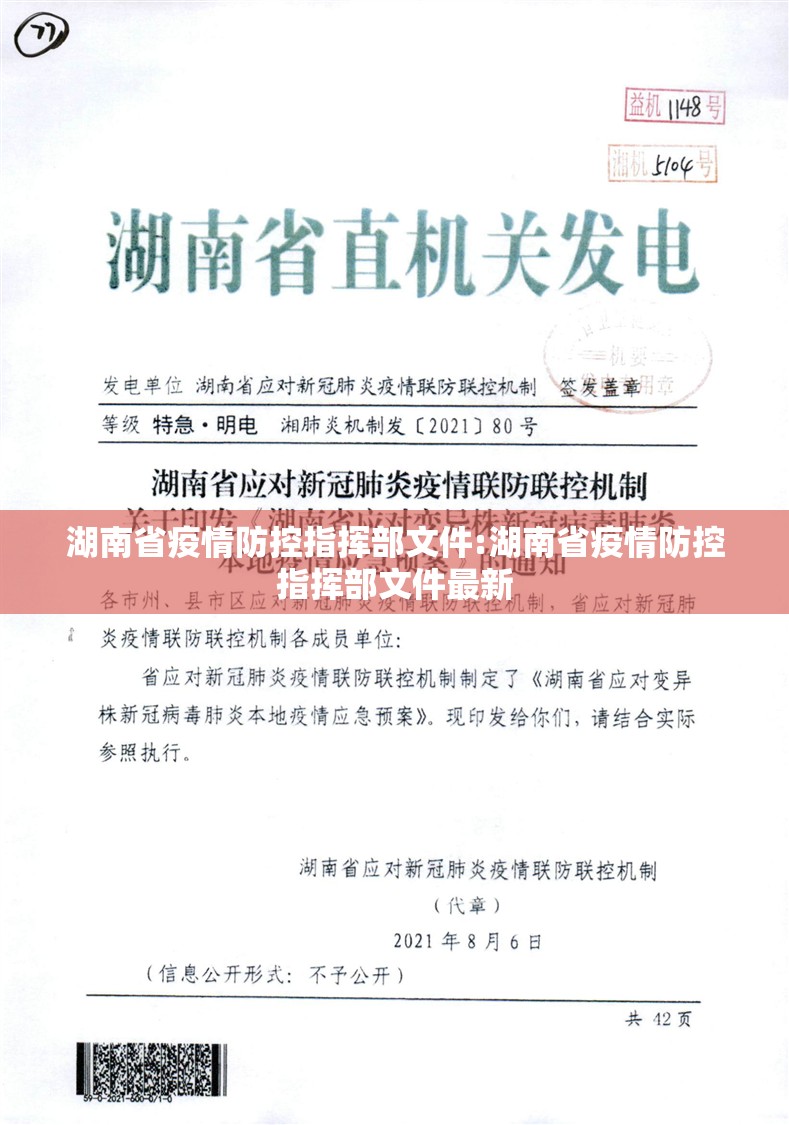 湖南省疫情防控指挥部文件:湖南省疫情防控指挥部文件最新