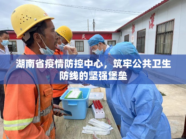 湖南省疫情防控中心，筑牢公共卫生防线的坚强堡垒