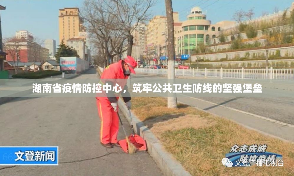 湖南省疫情防控中心，筑牢公共卫生防线的坚强堡垒