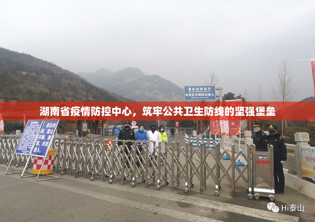 湖南省疫情防控中心，筑牢公共卫生防线的坚强堡垒