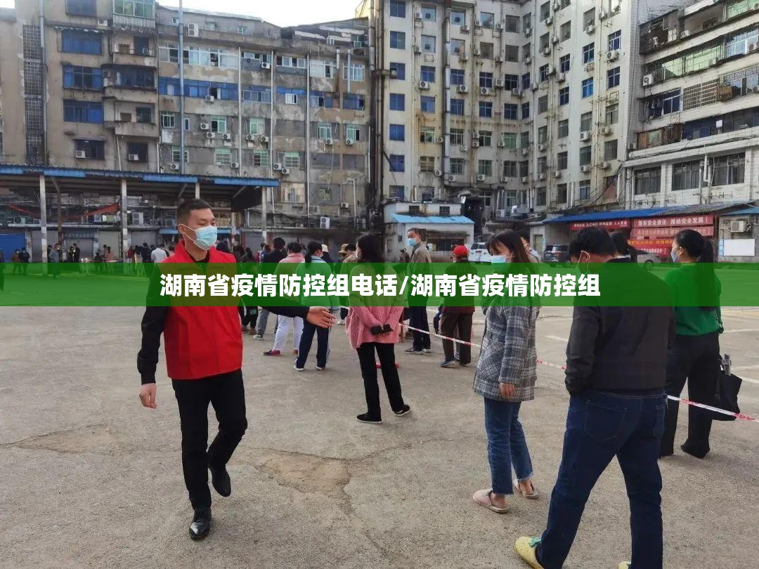 湖南省疫情防控组电话/湖南省疫情防控组
