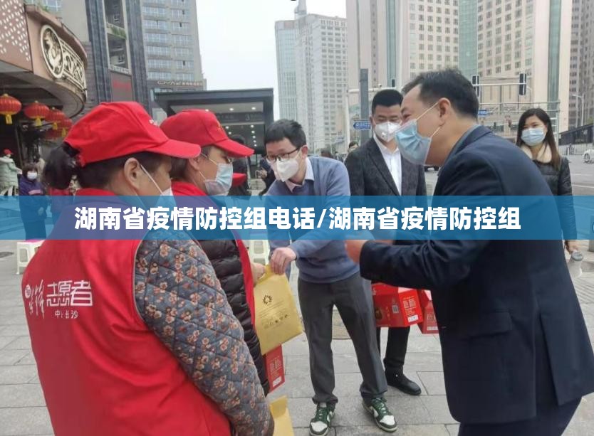 湖南省疫情防控组电话/湖南省疫情防控组