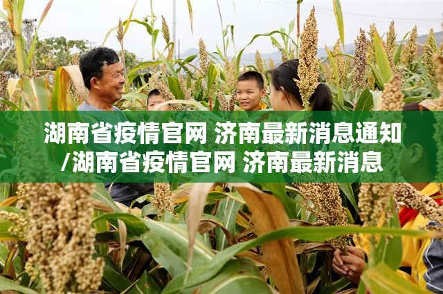 湖南省疫情官网 济南最新消息通知/湖南省疫情官网 济南最新消息