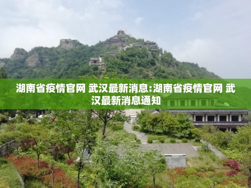 湖南省疫情官网 武汉最新消息:湖南省疫情官网 武汉最新消息通知