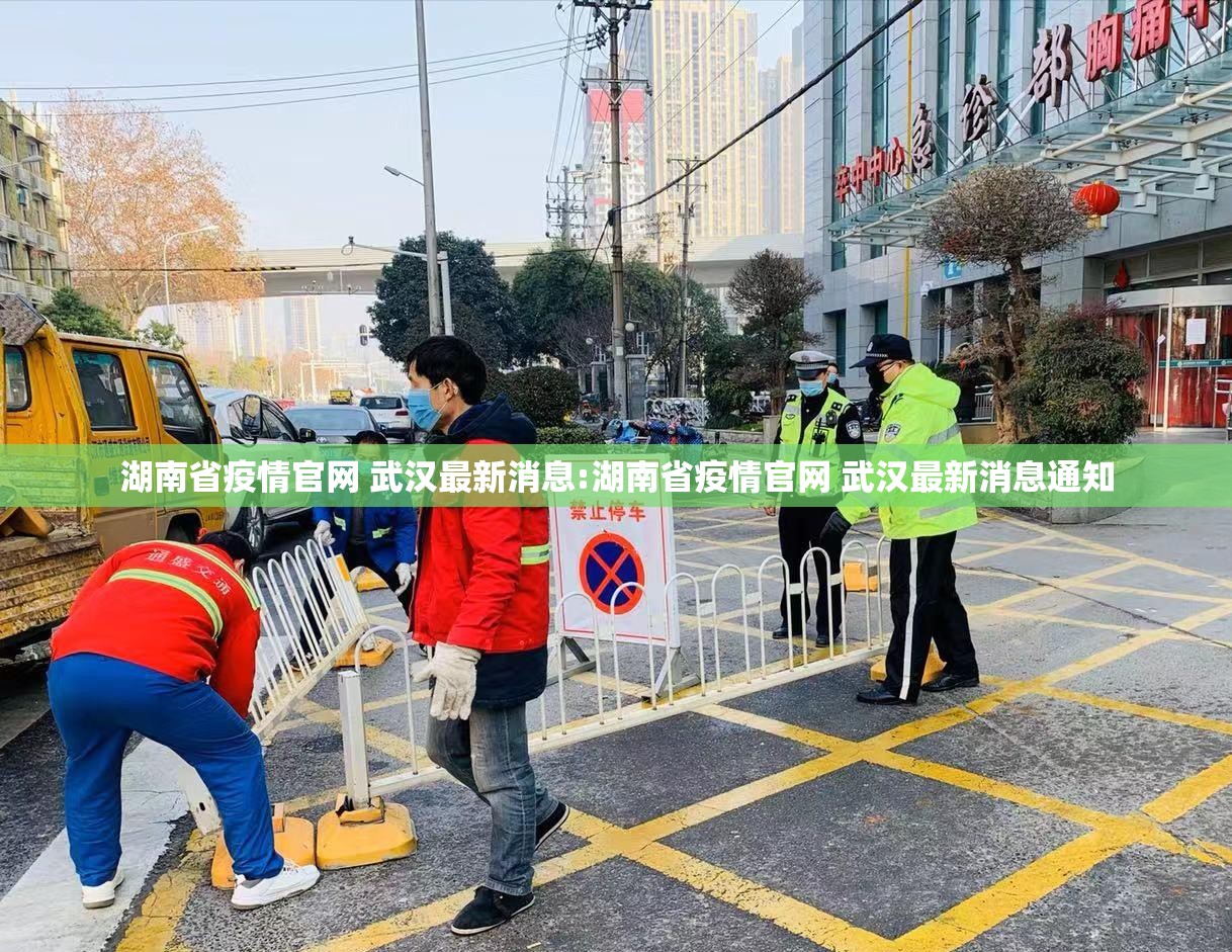 湖南省疫情官网 武汉最新消息:湖南省疫情官网 武汉最新消息通知