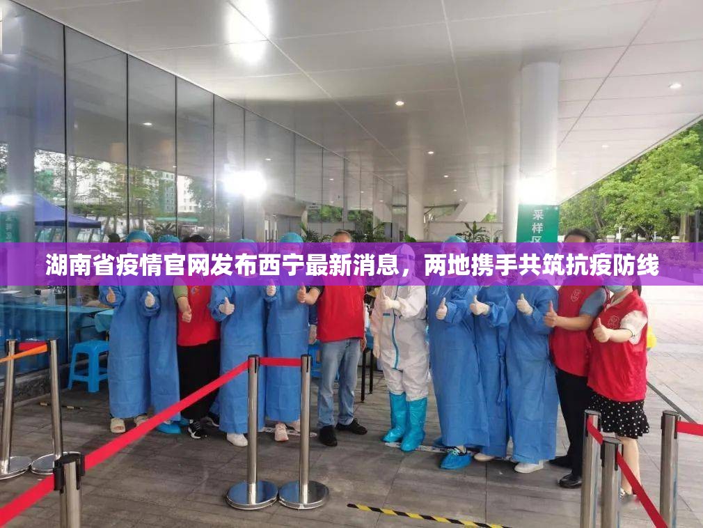 湖南省疫情官网发布西宁最新消息，两地携手共筑抗疫防线