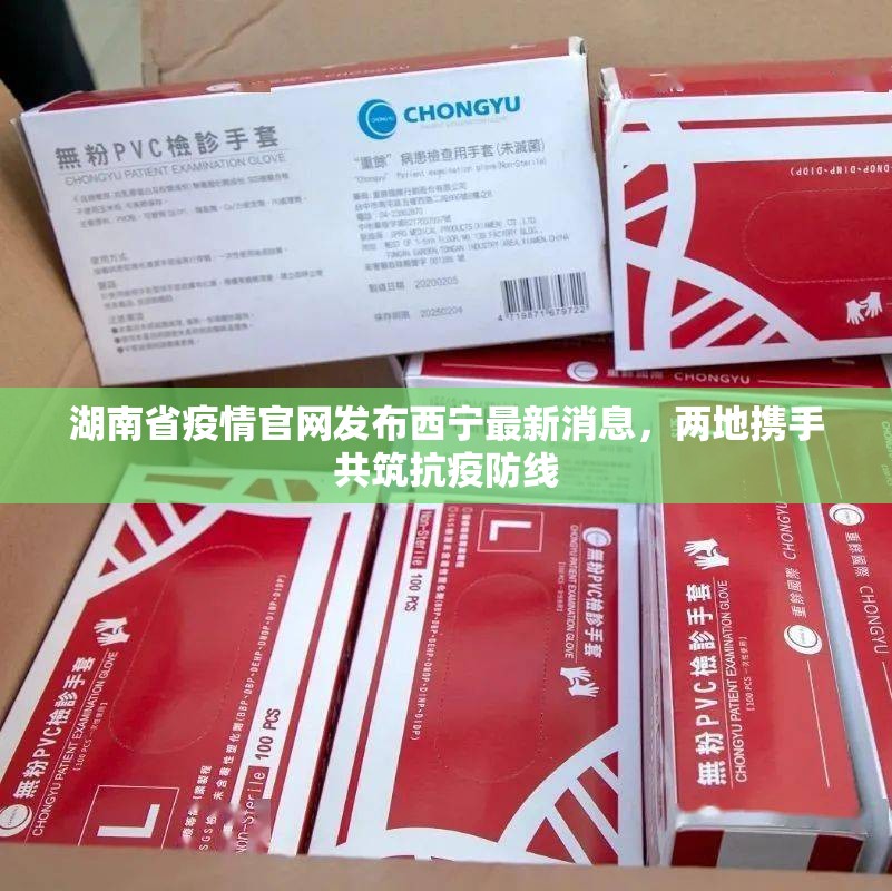 湖南省疫情官网发布西宁最新消息，两地携手共筑抗疫防线