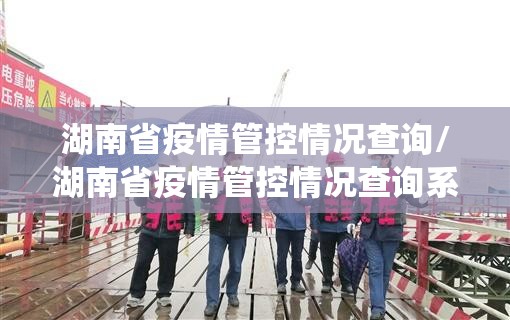 湖南省疫情管控情况查询/湖南省疫情管控情况查询系统