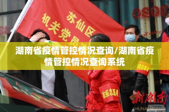 湖南省疫情管控情况查询/湖南省疫情管控情况查询系统