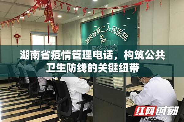 湖南省疫情管理电话，构筑公共卫生防线的关键纽带