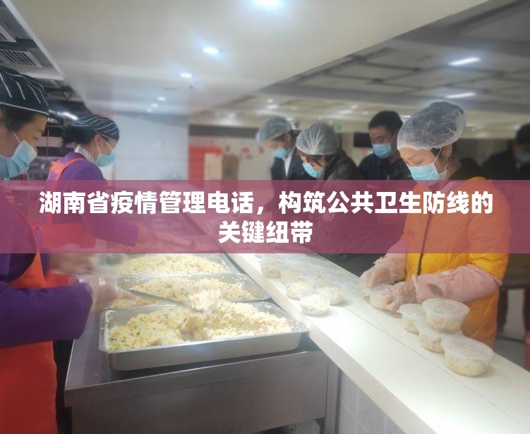 湖南省疫情管理电话，构筑公共卫生防线的关键纽带