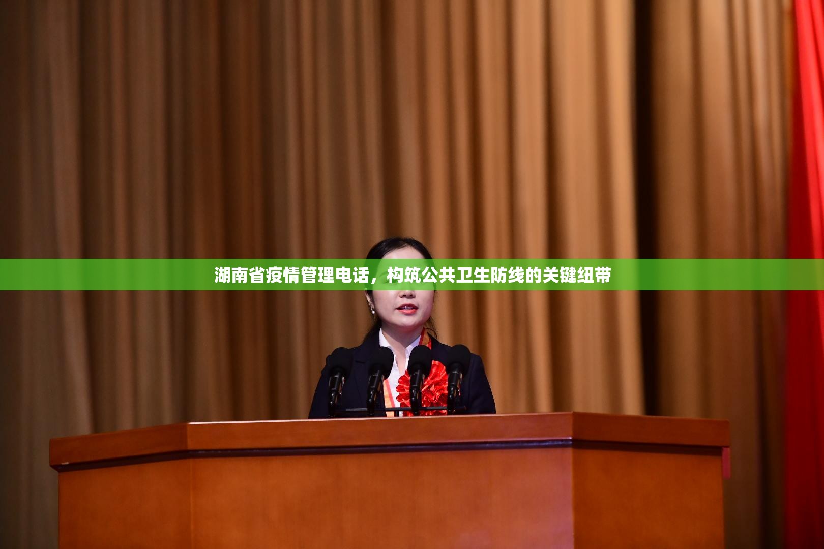 湖南省疫情管理电话，构筑公共卫生防线的关键纽带