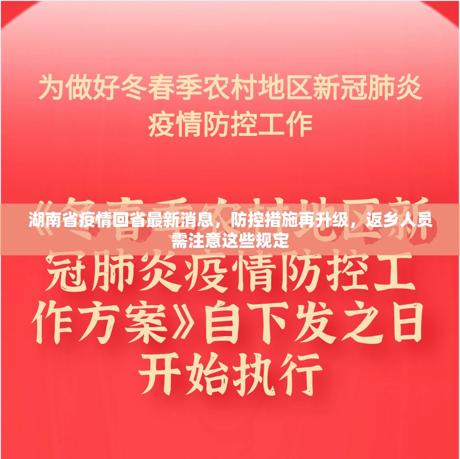 湖南省疫情回省最新消息，防控措施再升级，返乡人员需注意这些规定